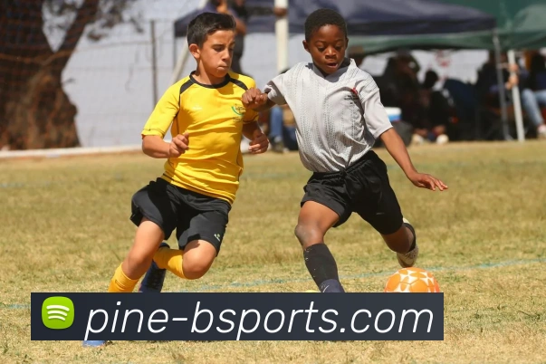 B体育APP 封面图